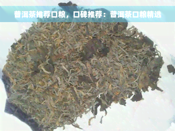 普洱茶推荐口粮，口碑推荐：普洱茶口粮精选