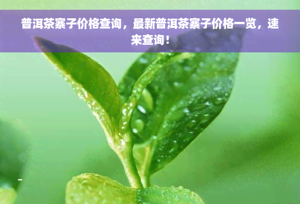 普洱茶寨子价格查询，最新普洱茶寨子价格一览，速来查询！