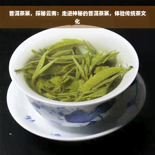 普洱茶寨，探秘云南：走进神秘的普洱茶寨，体验传统茶文化