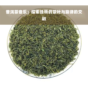 普洱茶音乐：探索独特的茶叶与旋律的交融