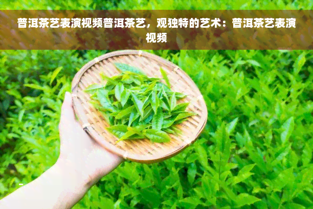 普洱茶艺表演视频普洱茶艺，观独特的艺术：普洱茶艺表演视频