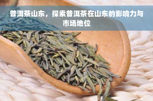 普洱茶山东，探索普洱茶在山东的影响力与市场地位