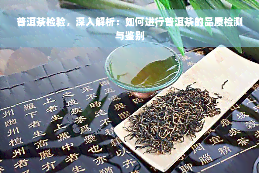 普洱茶检验，深入解析：如何进行普洱茶的品质检测与鉴别