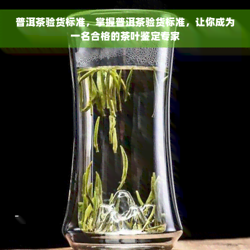 普洱茶验货标准，掌握普洱茶验货标准，让你成为一名合格的茶叶鉴定专家