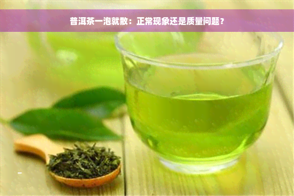 普洱茶一泡就散：正常现象还是质量问题？