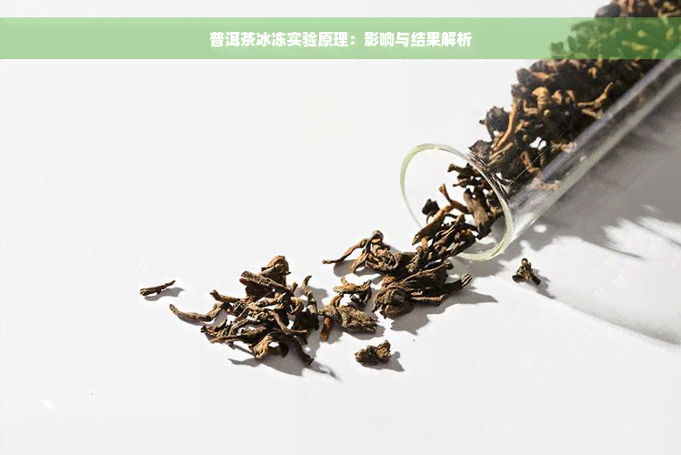 普洱茶冰冻实验原理：影响与结果解析