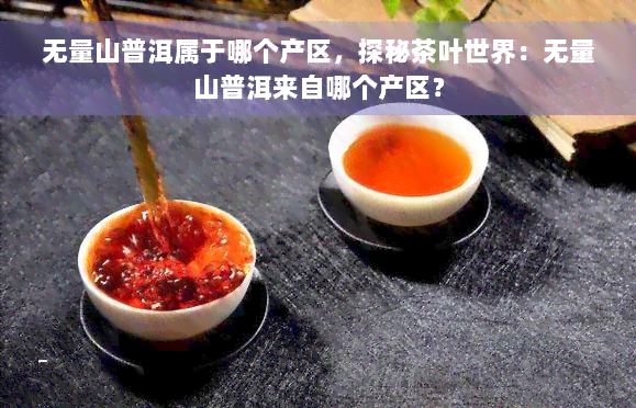 无量山普洱属于哪个产区，探秘茶叶世界：无量山普洱来自哪个产区？