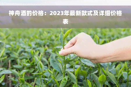 神舟酒的价格：2023年最新款式及详细价格表