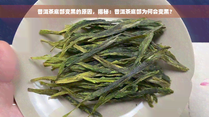 普洱茶底部变黑的原因，揭秘：普洱茶底部为何会变黑？