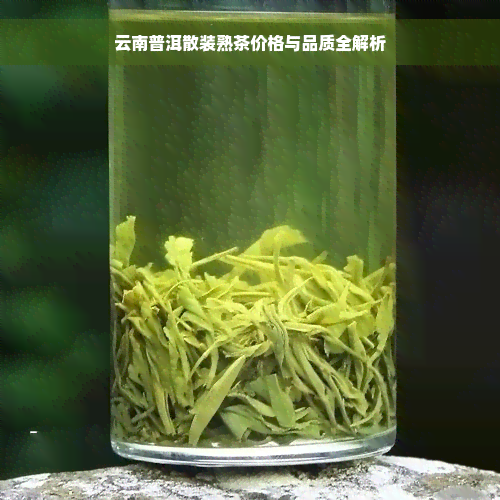 云南普洱散装熟茶价格与品质全解析