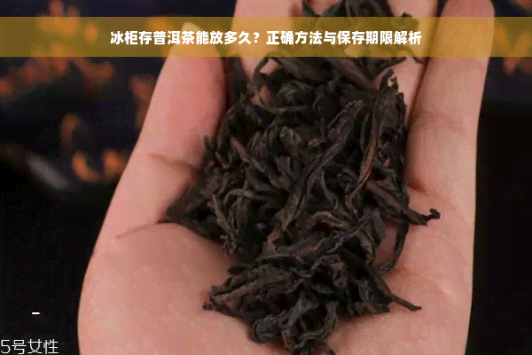 冰柜存普洱茶能放多久？正确方法与保存期限解析