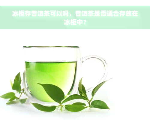 冰柜存普洱茶可以吗，普洱茶是否适合存放在冰柜中？