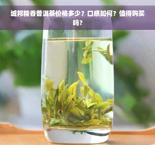 城邦糯香普洱茶价格多少？口感如何？值得购买吗？