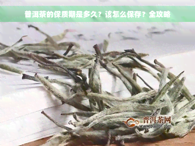 普洱茶的保质期是多久？该怎么保存？全攻略