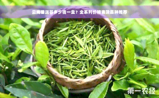 云南普洱茶多少钱一盒？全系列价格表及品种推荐