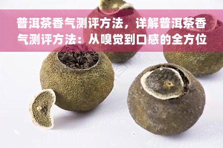 普洱茶香气测评方法，详解普洱茶香气测评方法：从嗅觉到口感的全方位解析