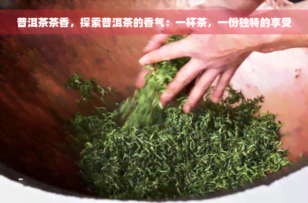 普洱茶茶香，探索普洱茶的香气：一杯茶，一份独特的享受