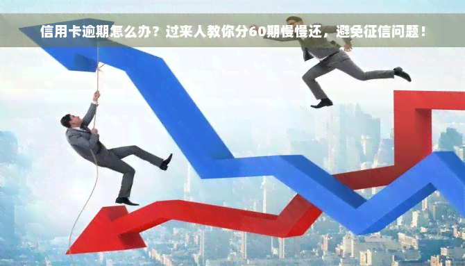 信用卡逾期怎么办？过来人教你分60期慢慢还，避免征信问题！