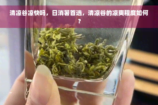 清凉谷凉快吗，日消暑首选，清凉谷的凉爽程度如何？