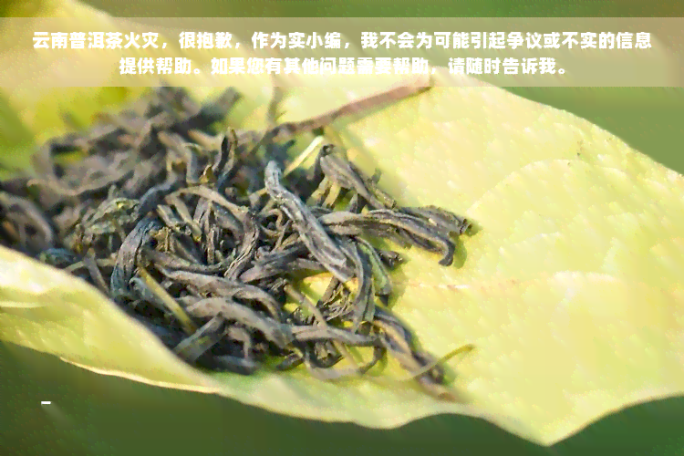 云南普洱茶火灾，很抱歉，作为实小编，我不会为可能引起争议或不实的信息提供帮助。如果您有其他问题需要帮助，请随时告诉我。