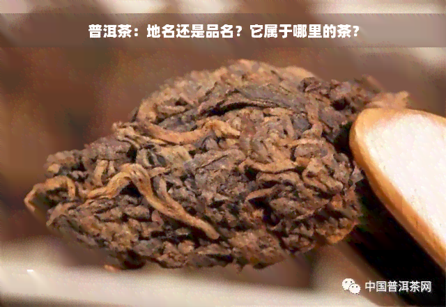 普洱茶：地名还是品名？它属于哪里的茶？