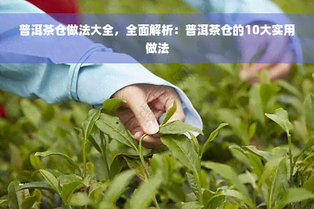 普洱茶仓做法大全，全面解析：普洱茶仓的10大实用做法