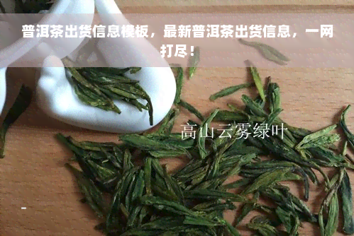 普洱茶出货信息模板，最新普洱茶出货信息，一网打尽！