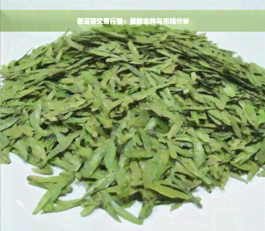 普洱茶交易行情：最新走势与市场分析