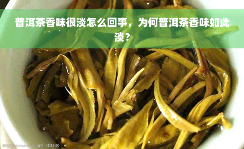 普洱茶香味很淡怎么回事，为何普洱茶香味如此淡？