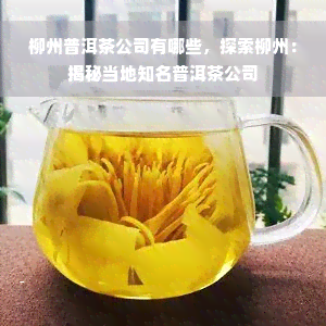 柳州普洱茶公司有哪些，探索柳州：揭秘当地知名普洱茶公司