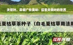 关茶叶，品尝广东美味：探索关茶叶的世界