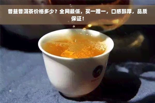 普益普洱茶价格多少？全网更低，买一赠一，口感醇厚，品质保证！