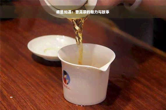 感恩知遇：普洱茶的魅力与故事