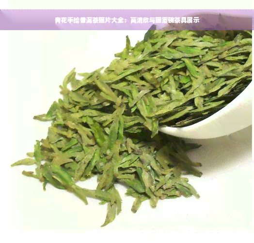 青花手绘普洱茶图片大全：高清欣与图案碗茶具展示