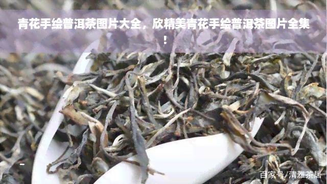 青花手绘普洱茶图片大全，欣精美青花手绘普洱茶图片全集！