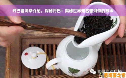 丹巴普洱茶介绍，探秘丹巴：揭秘世界知名普洱茶的故事