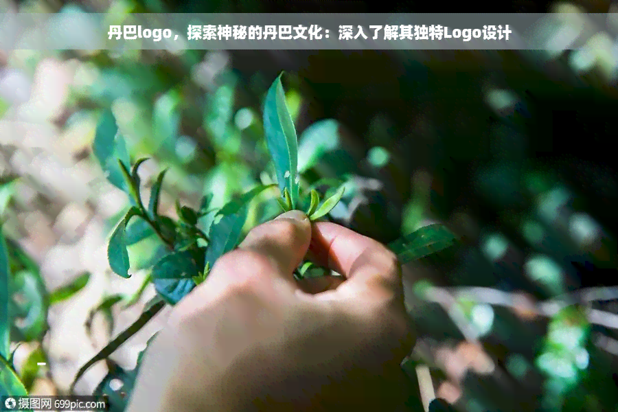 丹巴logo，探索神秘的丹巴文化：深入了解其独特Logo设计