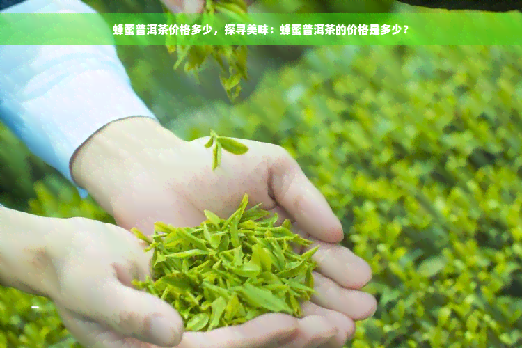 蜂蜜普洱茶价格多少，探寻美味：蜂蜜普洱茶的价格是多少？