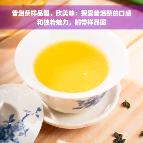 普洱茶样品图，欣美味：探索普洱茶的口感和独特魅力，附带样品图