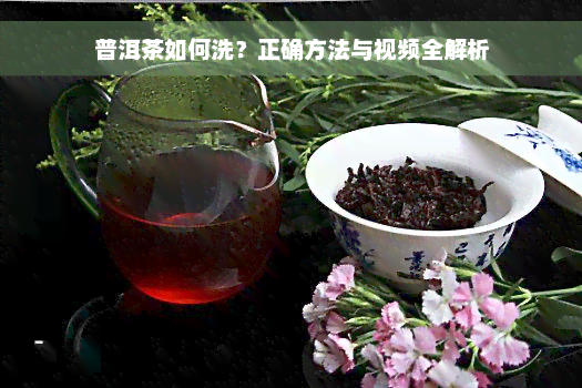 普洱茶如何洗？正确方法与视频全解析