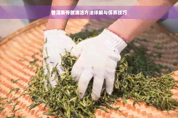 普洱茶存放清洁方法详解与保养技巧