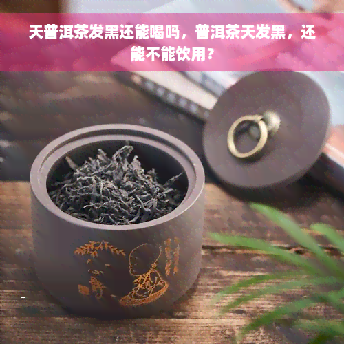 天普洱茶发黑还能喝吗，普洱茶天发黑，还能不能饮用？