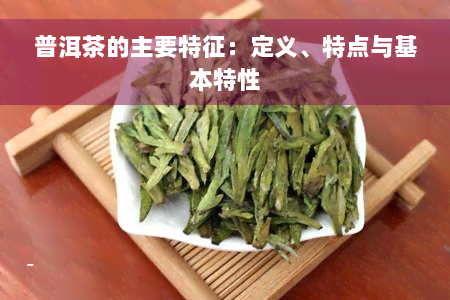 普洱茶的主要特征：定义、特点与基本特性