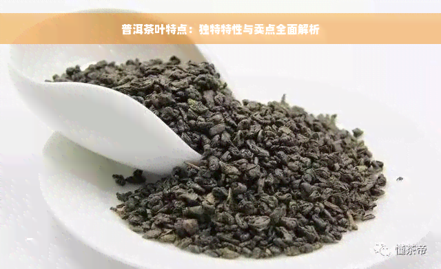 普洱茶叶特点：独特特性与卖点全面解析