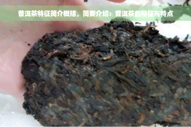 普洱茶特征简介概括，简要介绍：普洱茶的特征与特点