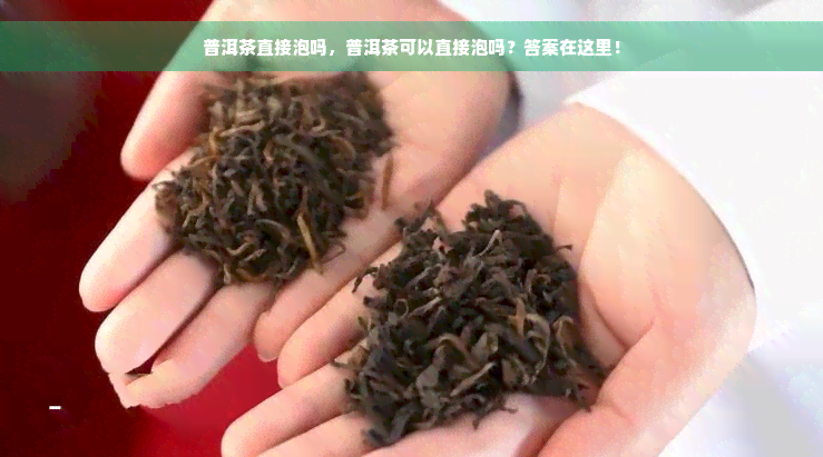 普洱茶直接泡吗，普洱茶可以直接泡吗？答案在这里！