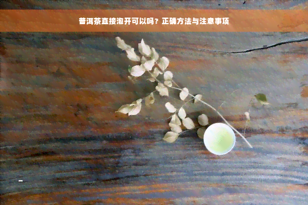 普洱茶直接泡开可以吗？正确方法与注意事项