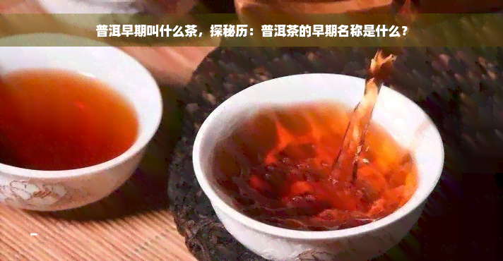 普洱早期叫什么茶，探秘历：普洱茶的早期名称是什么？