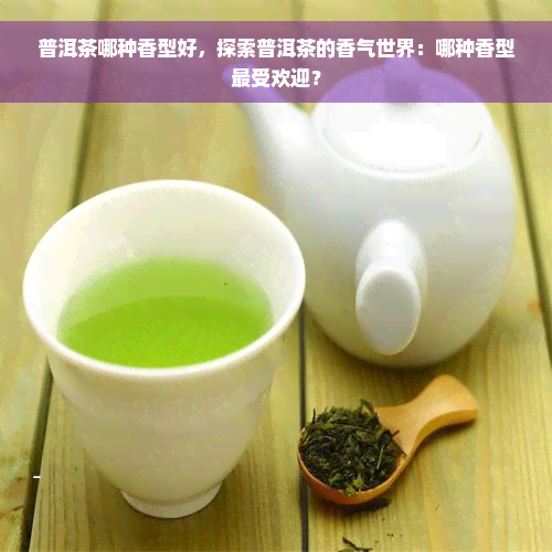 普洱茶哪种香型好，探索普洱茶的香气世界：哪种香型更受欢迎？