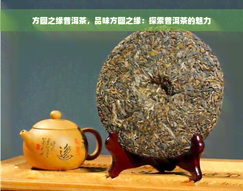 方圆之缘普洱茶，品味方圆之缘：探索普洱茶的魅力